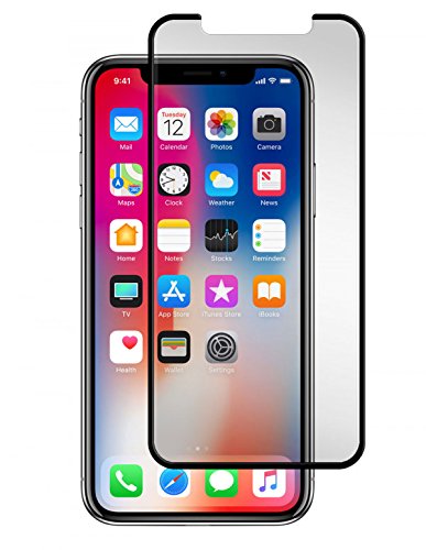 Gadget Guard Black Ice Cornice Curved Edition Tempered Glass Screen Guard For Apple Iphone X - Clear